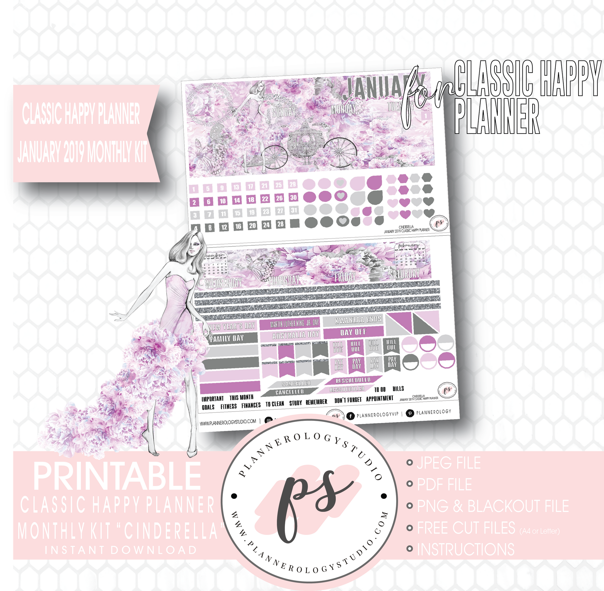 Cinderella New Years January 2019 Monthly View Kit Digital Printable Planner Stickers (for use with Classic Happy Planner) - Plannerologystudio