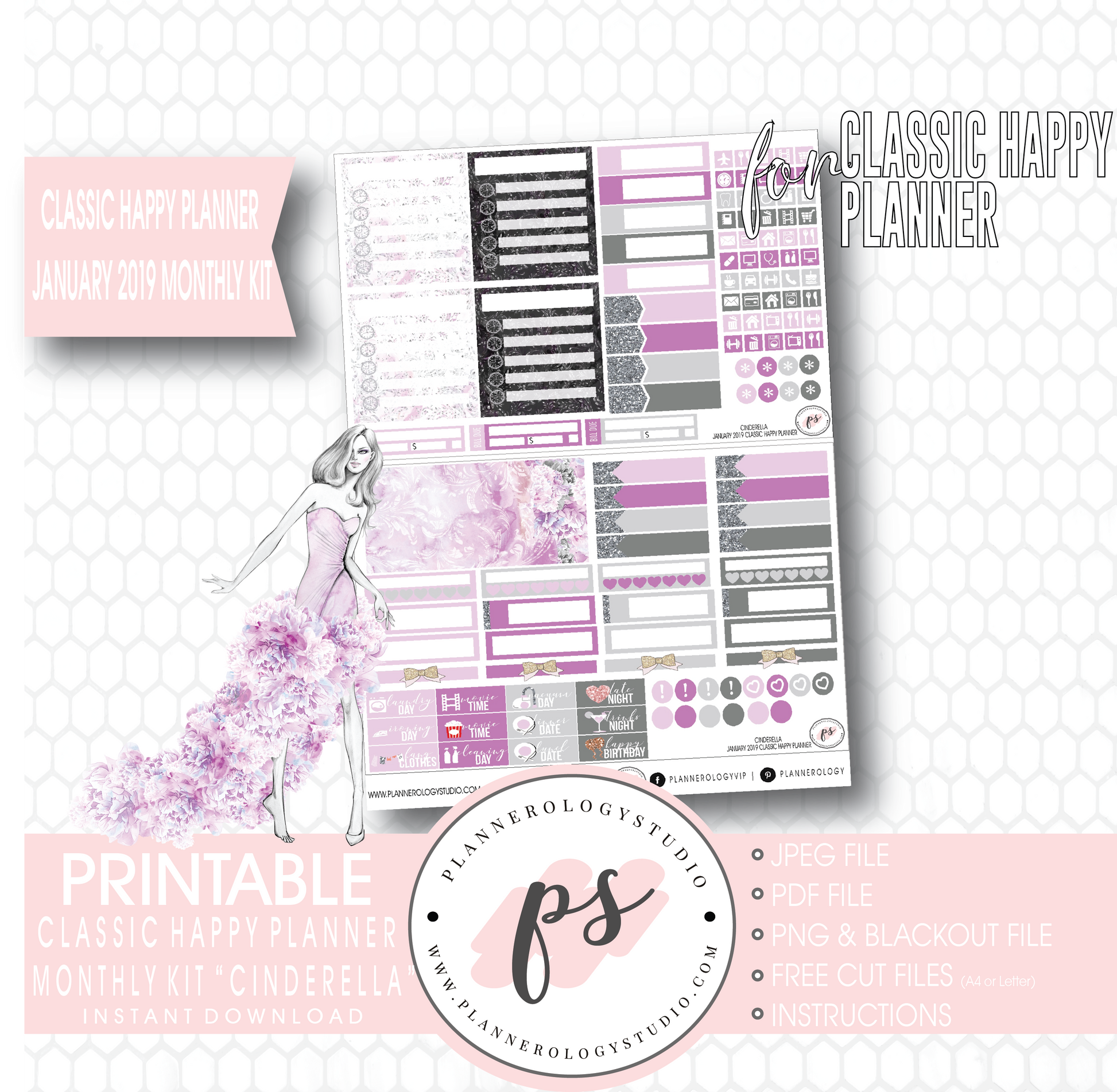 Cinderella New Years January 2019 Monthly View Kit Digital Printable Planner Stickers (for use with Classic Happy Planner) - Plannerologystudio