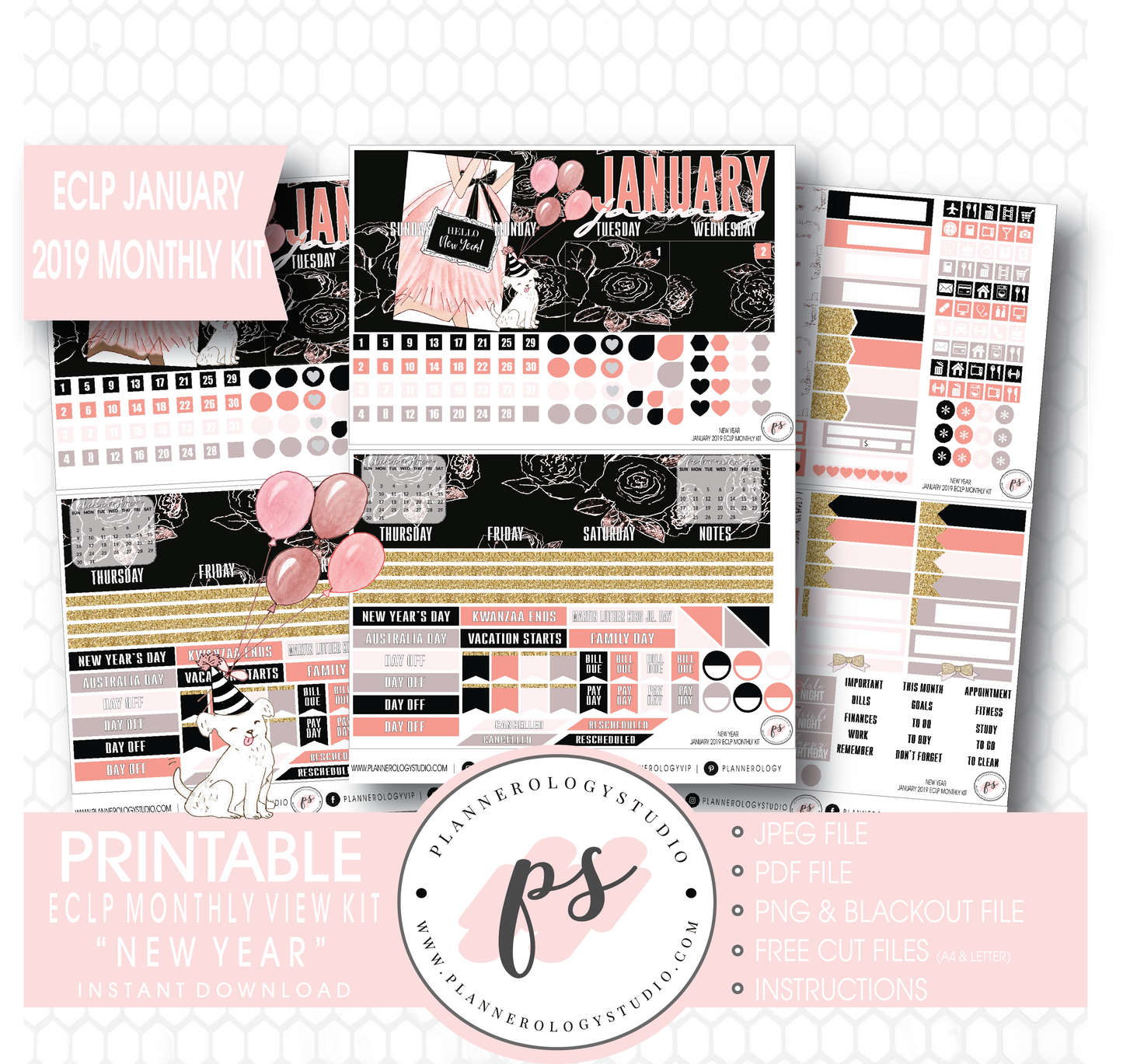 New Year January 2019 Monthly View Kit Digital Printable Planner Stickers (for use with Erin Condren) - Plannerologystudio
