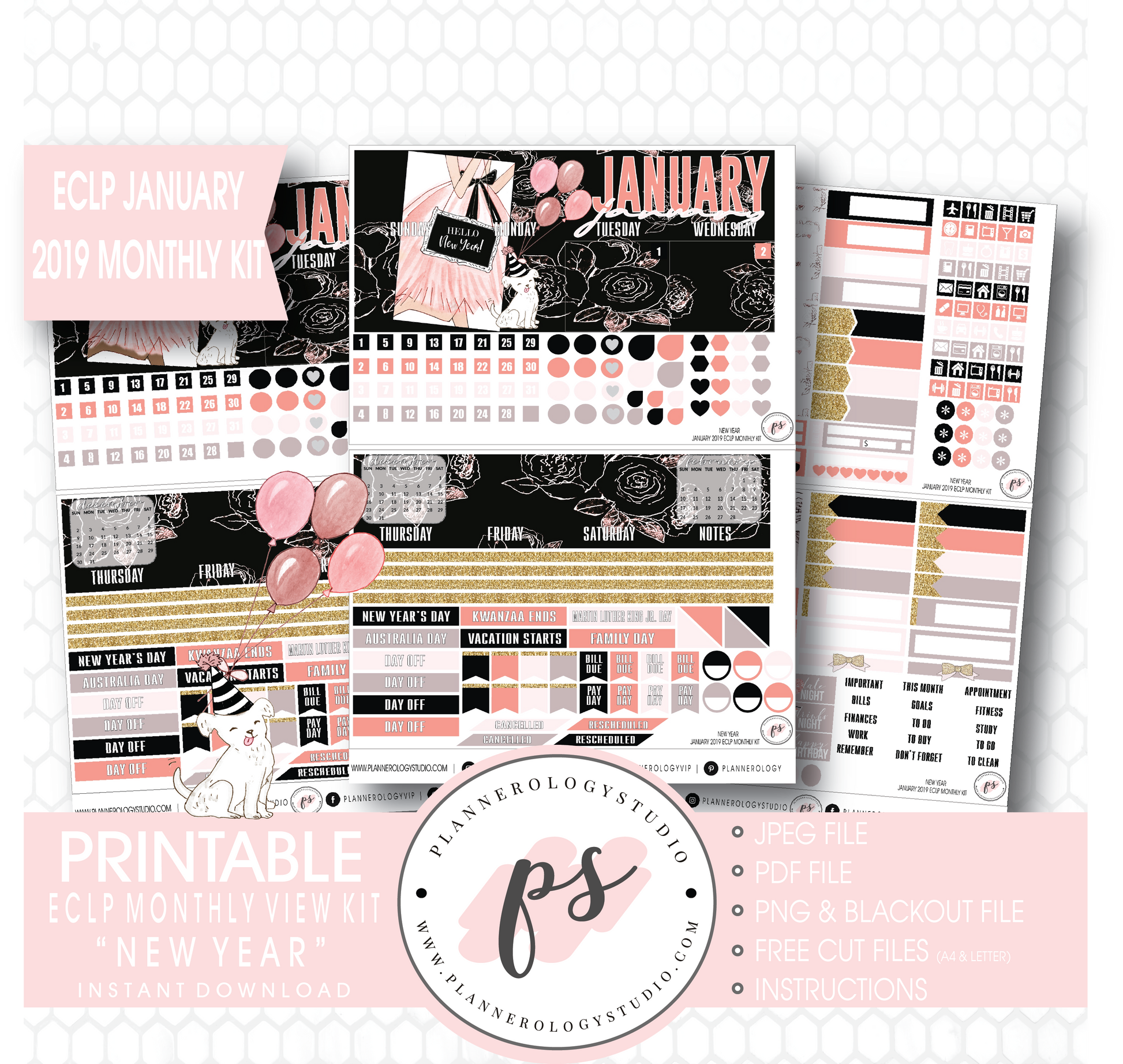 New Year January 2019 Monthly View Kit Digital Printable Planner Stickers (for use with Erin Condren) - Plannerologystudio