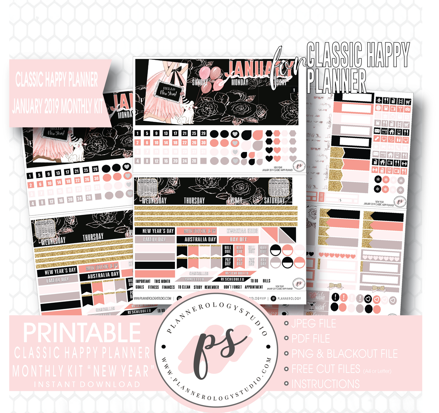 New Year January 2019 Monthly View Kit Digital Printable Planner Stickers (for use with Classic Happy Planner) - Plannerologystudio