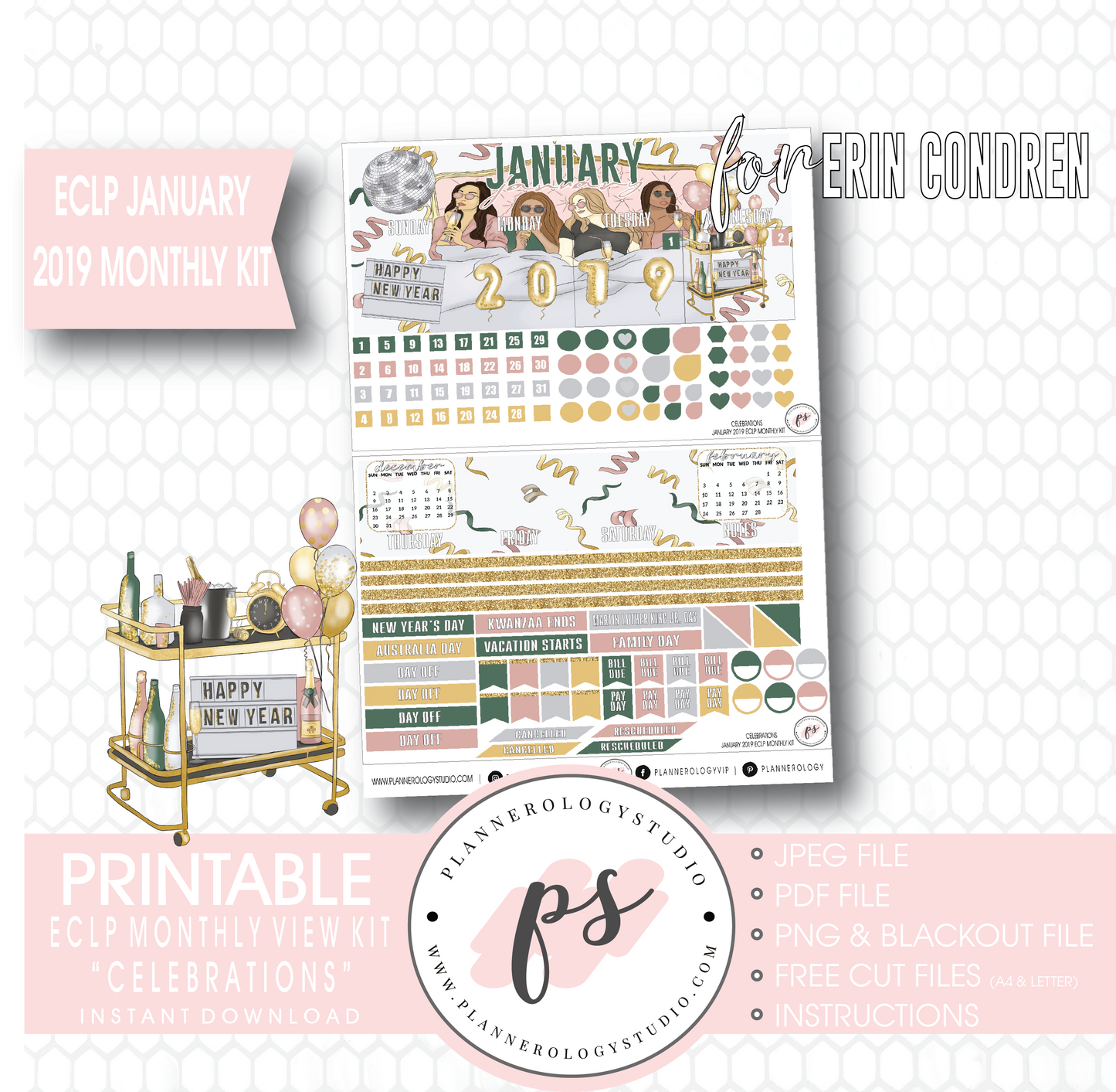 Celebrations New Years January 2019 Monthly View Kit Digital Printable Planner Stickers (for use with Erin Condren) - Plannerologystudio