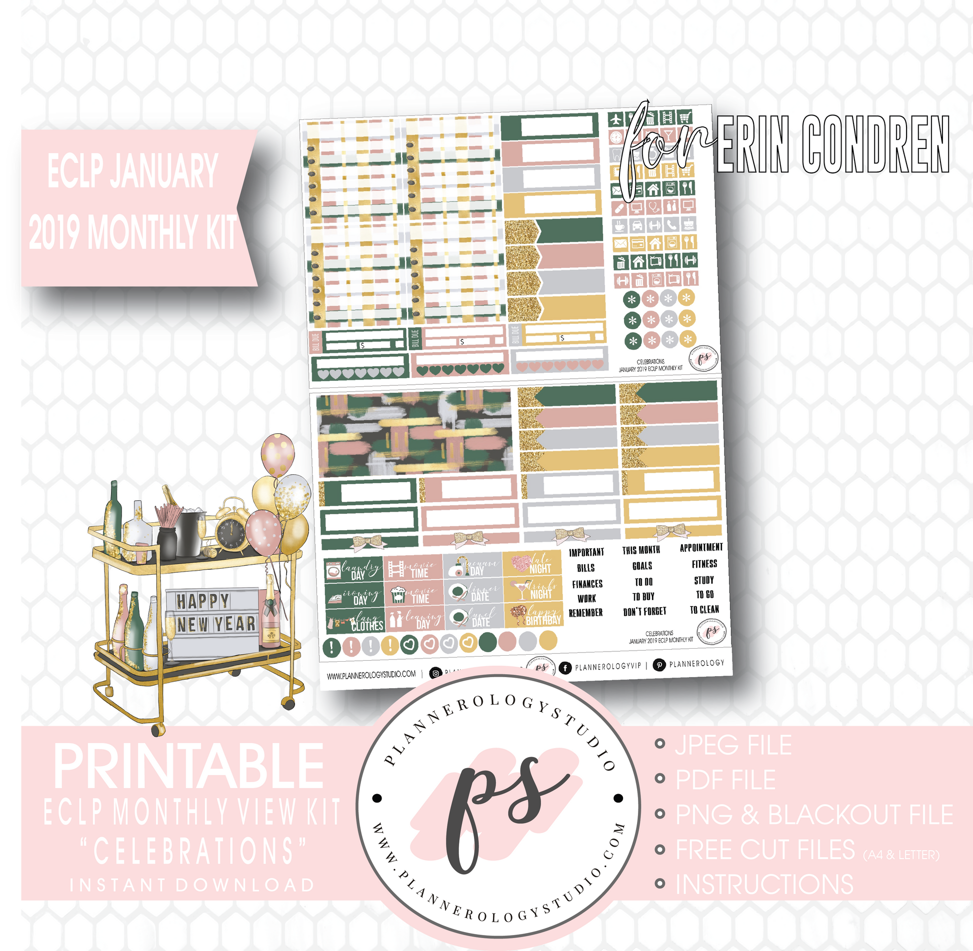 Celebrations New Years January 2019 Monthly View Kit Digital Printable Planner Stickers (for use with Erin Condren) - Plannerologystudio
