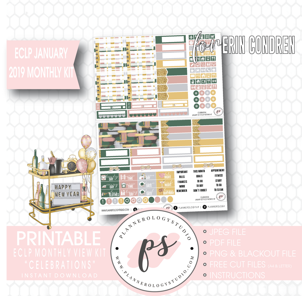 Celebrations New Years January 2019 Monthly View Kit Digital Printable Planner Stickers (for use with Erin Condren) - Plannerologystudio