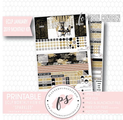 Sparkles New Years January 2019 Monthly View Kit Digital Printable Planner Stickers (for use with Erin Condren) - Plannerologystudio