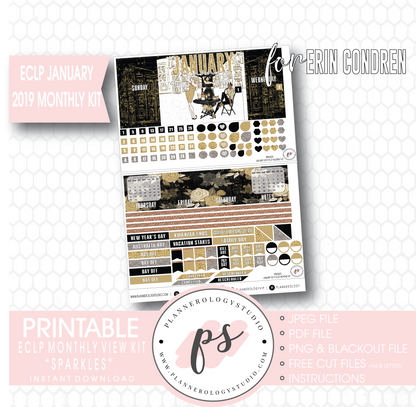 Sparkles New Years January 2019 Monthly View Kit Digital Printable Planner Stickers (for use with Erin Condren) - Plannerologystudio