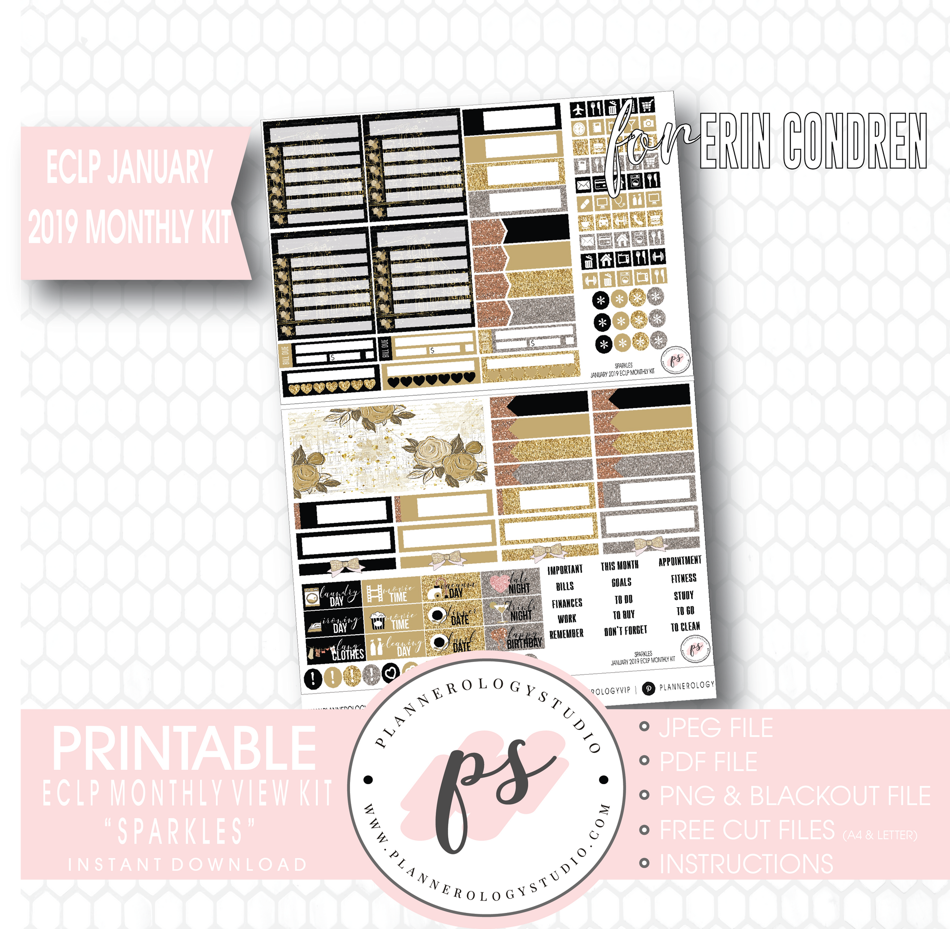 Sparkles New Years January 2019 Monthly View Kit Digital Printable Planner Stickers (for use with Erin Condren) - Plannerologystudio