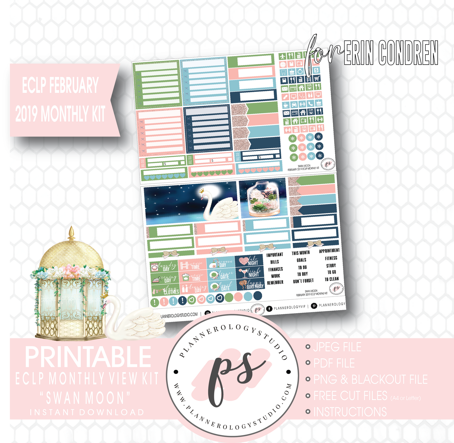 Swan Moon February 2019 Monthly View Kit Digital Printable Planner Stickers (for use with Erin Condren) - Plannerologystudio