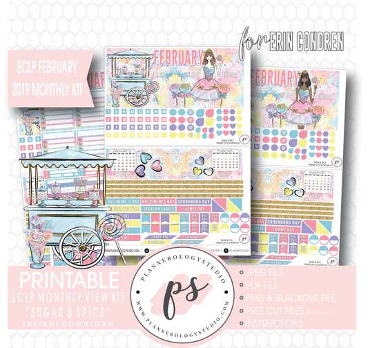 Sugar & Spice February 2019 Monthly View Kit Digital Printable Planner Stickers (for use with Erin Condren) - Plannerologystudio