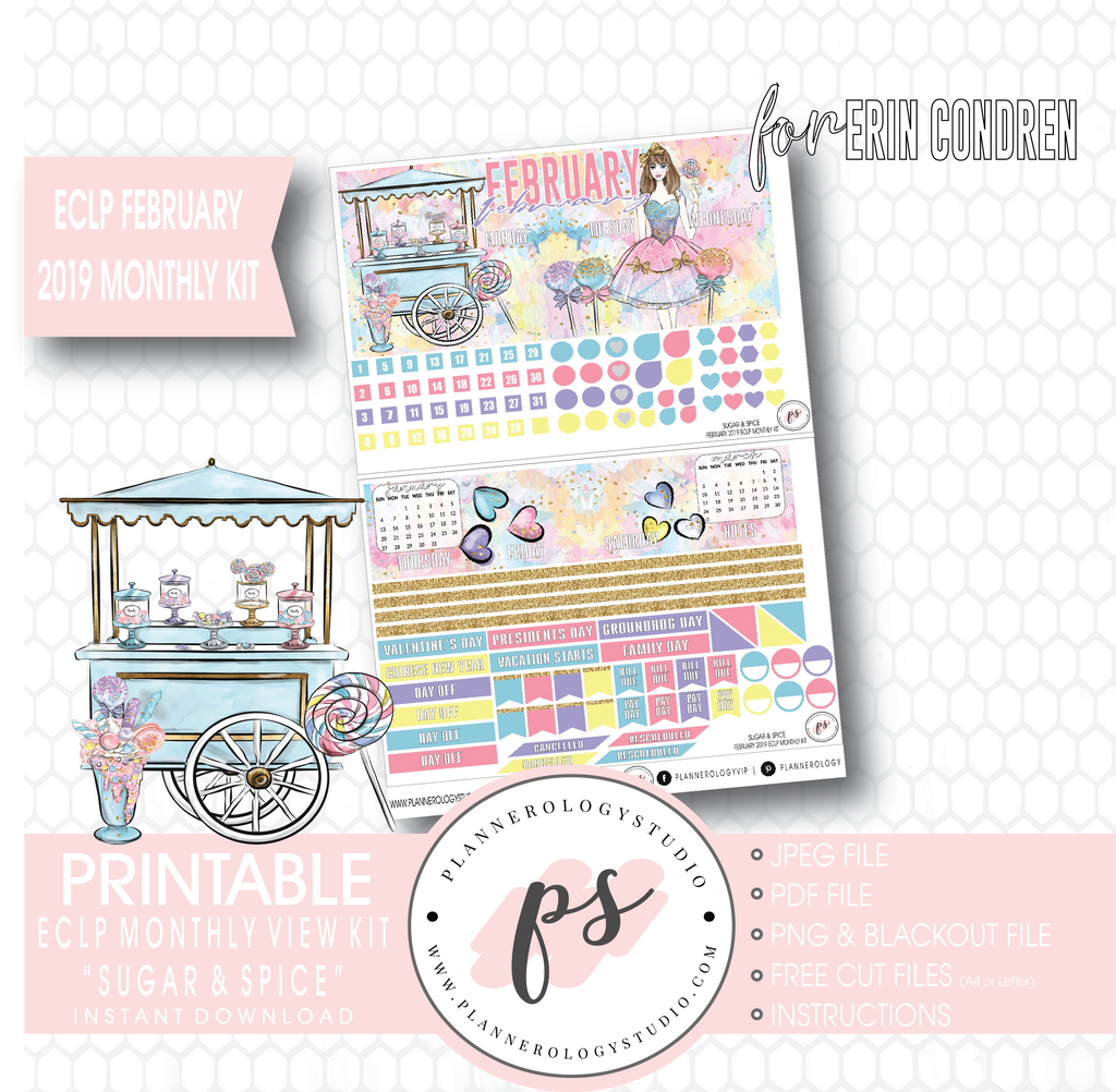 Sugar & Spice February 2019 Monthly View Kit Digital Printable Planner Stickers (for use with Erin Condren) - Plannerologystudio