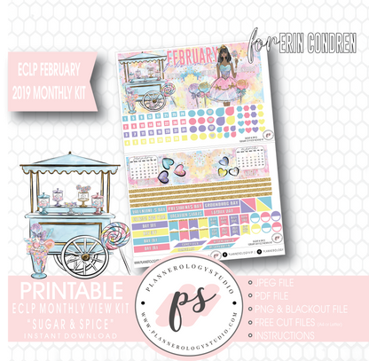 Sugar & Spice February 2019 Monthly View Kit Digital Printable Planner Stickers (for use with Erin Condren) - Plannerologystudio