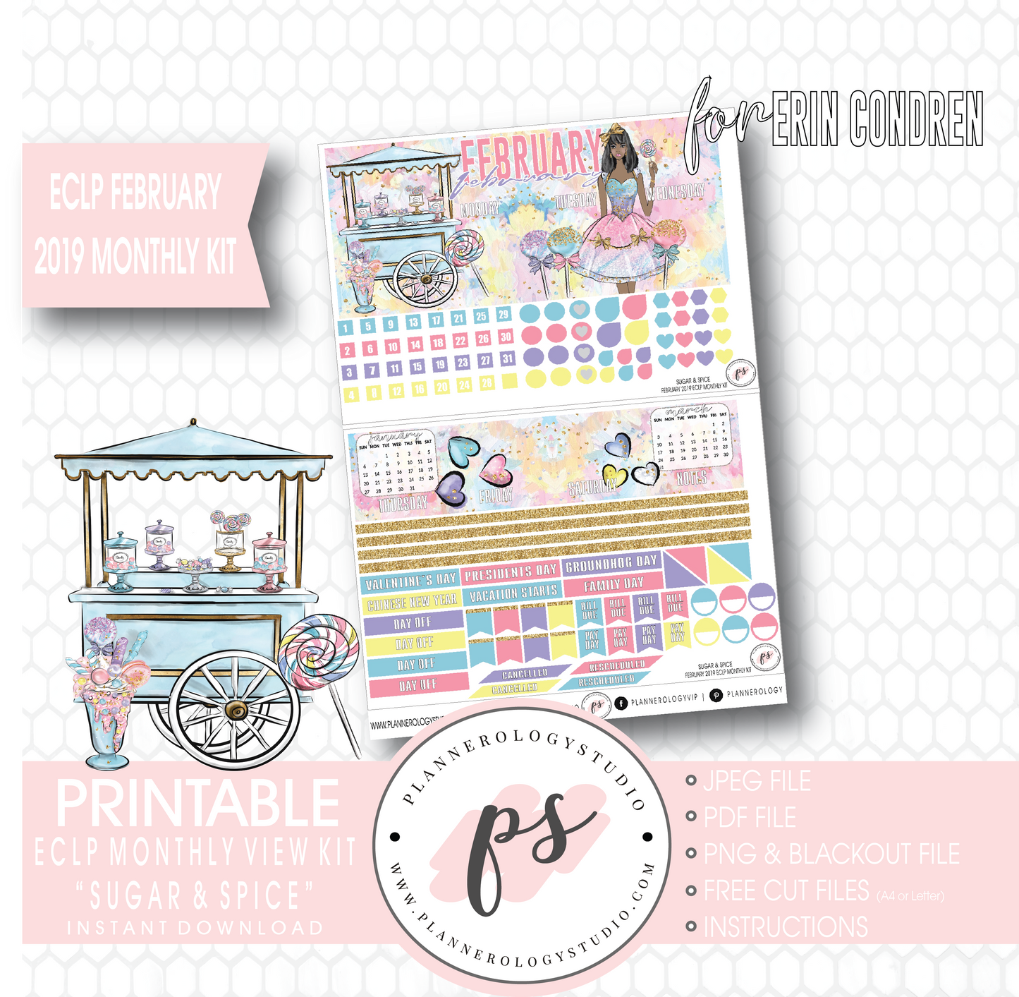 Sugar & Spice February 2019 Monthly View Kit Digital Printable Planner Stickers (for use with Erin Condren) - Plannerologystudio