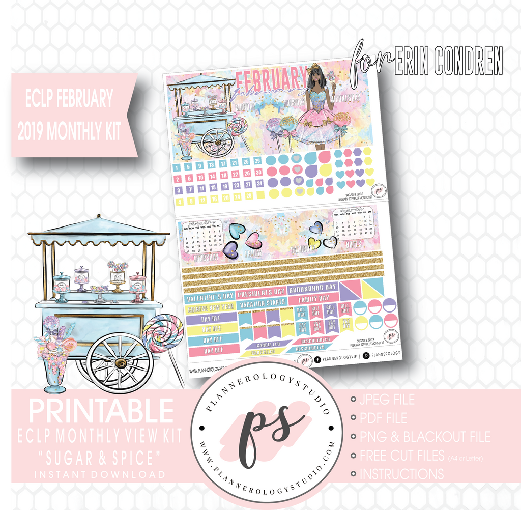 Sugar & Spice February 2019 Monthly View Kit Digital Printable Planner Stickers (for use with Erin Condren) - Plannerologystudio