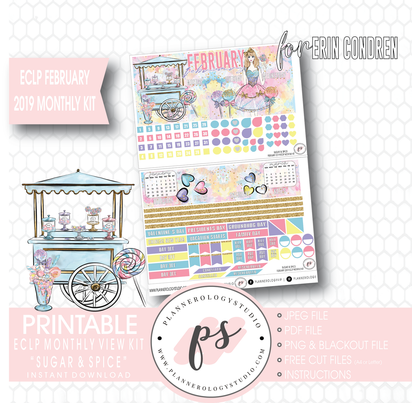 Sugar & Spice February 2019 Monthly View Kit Digital Printable Planner Stickers (for use with Erin Condren) - Plannerologystudio