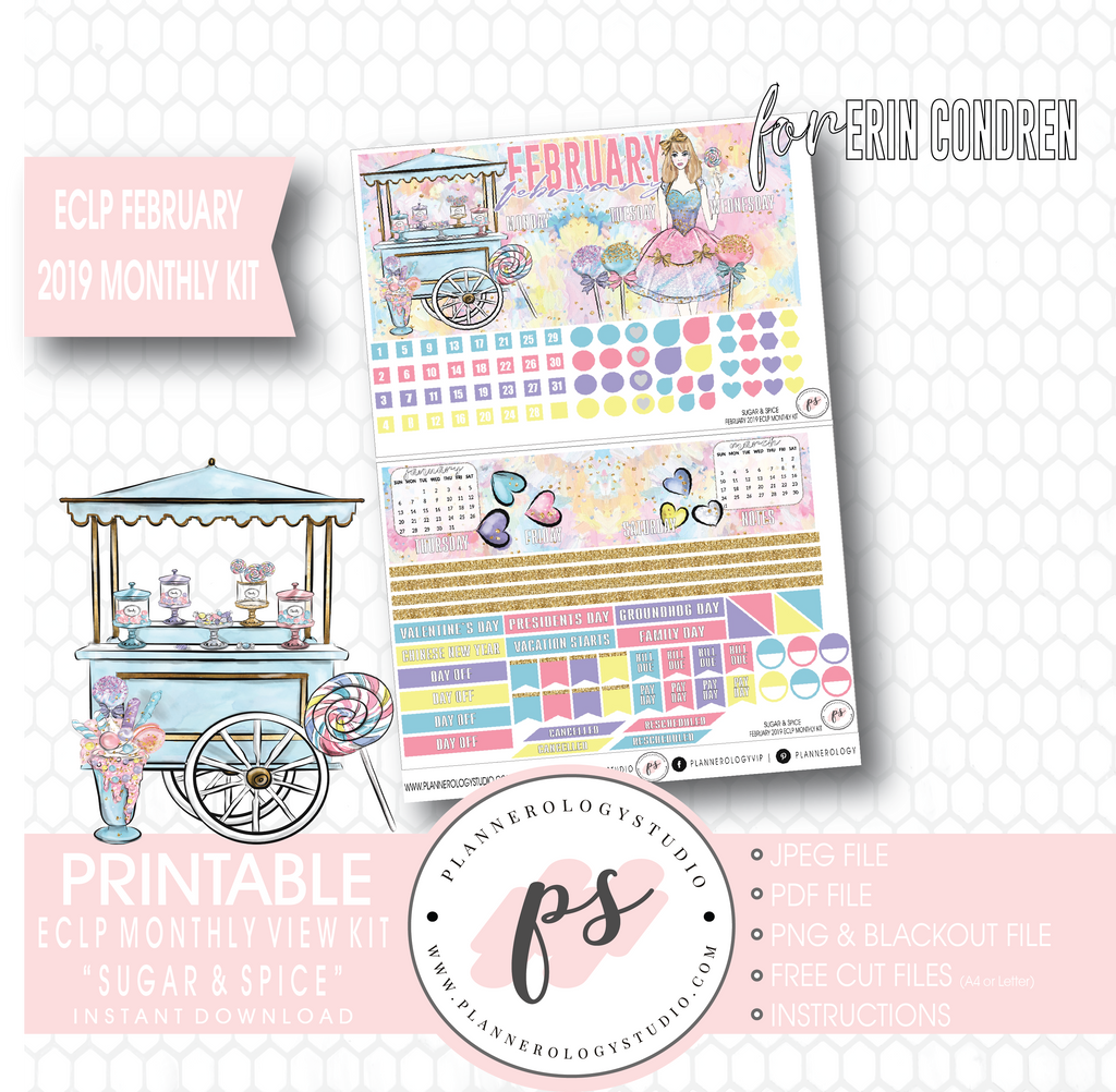 Sugar & Spice February 2019 Monthly View Kit Digital Printable Planner Stickers (for use with Erin Condren) - Plannerologystudio