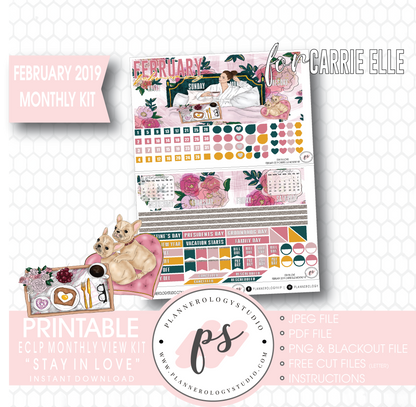 Stay in Love Valentine's Day February 2019 Monthly View Kit Digital Printable Planner Stickers (for use with Carrie Elle Planner) - Plannerologystudio
