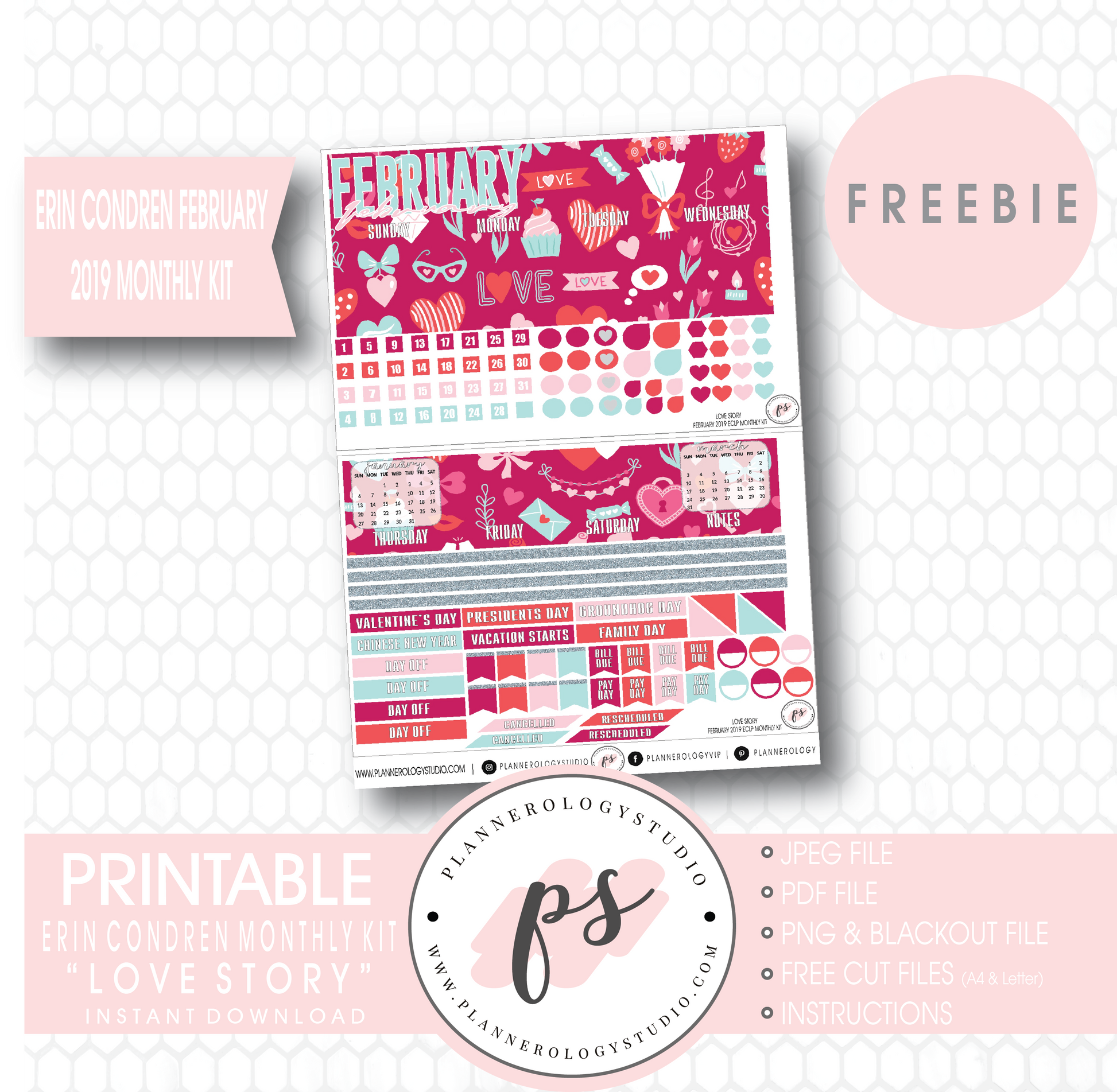 Love Story (Valentine's Day) ECLP Erin Condren February 2019 Monthly Kit Digital Printable Planner Stickers (PDF/JPG/PNG/Cut File Freebie) - Plannerologystudio