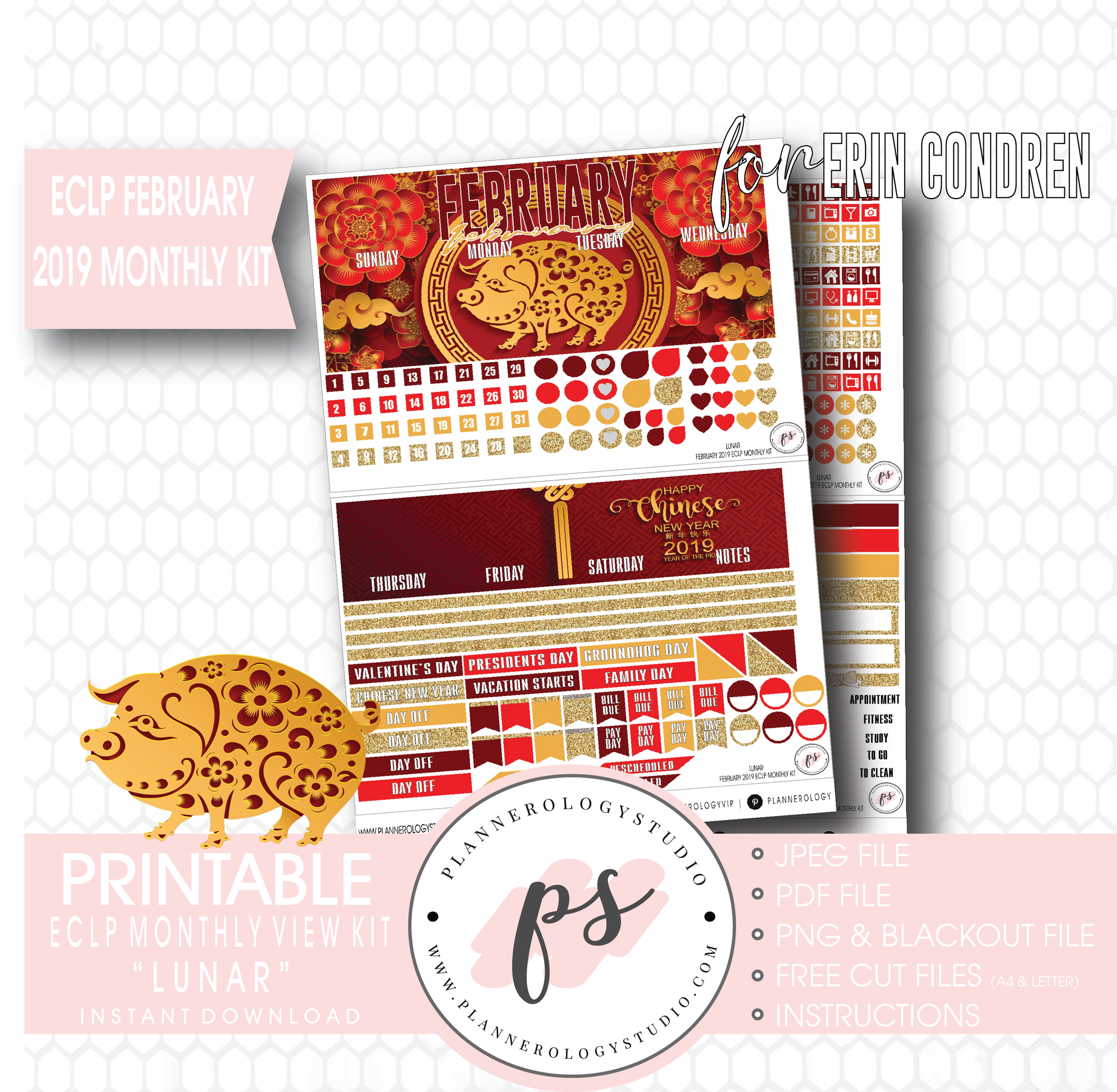 Lunar (Chinese New Year) February 2019 Monthly View Kit Digital Printable Planner Stickers (for use with Erin Condren) - Plannerologystudio