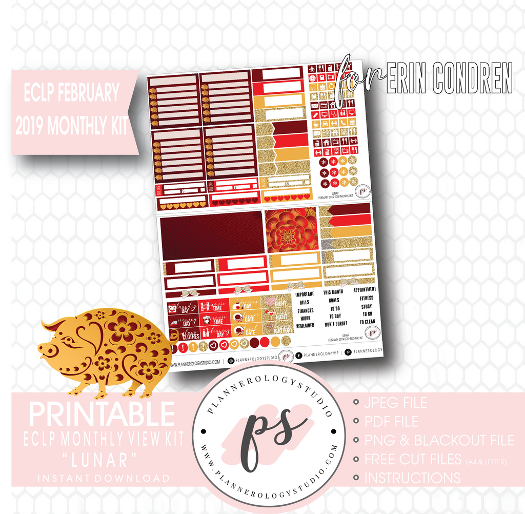 Lunar (Chinese New Year) February 2019 Monthly View Kit Digital Printable Planner Stickers (for use with Erin Condren) - Plannerologystudio