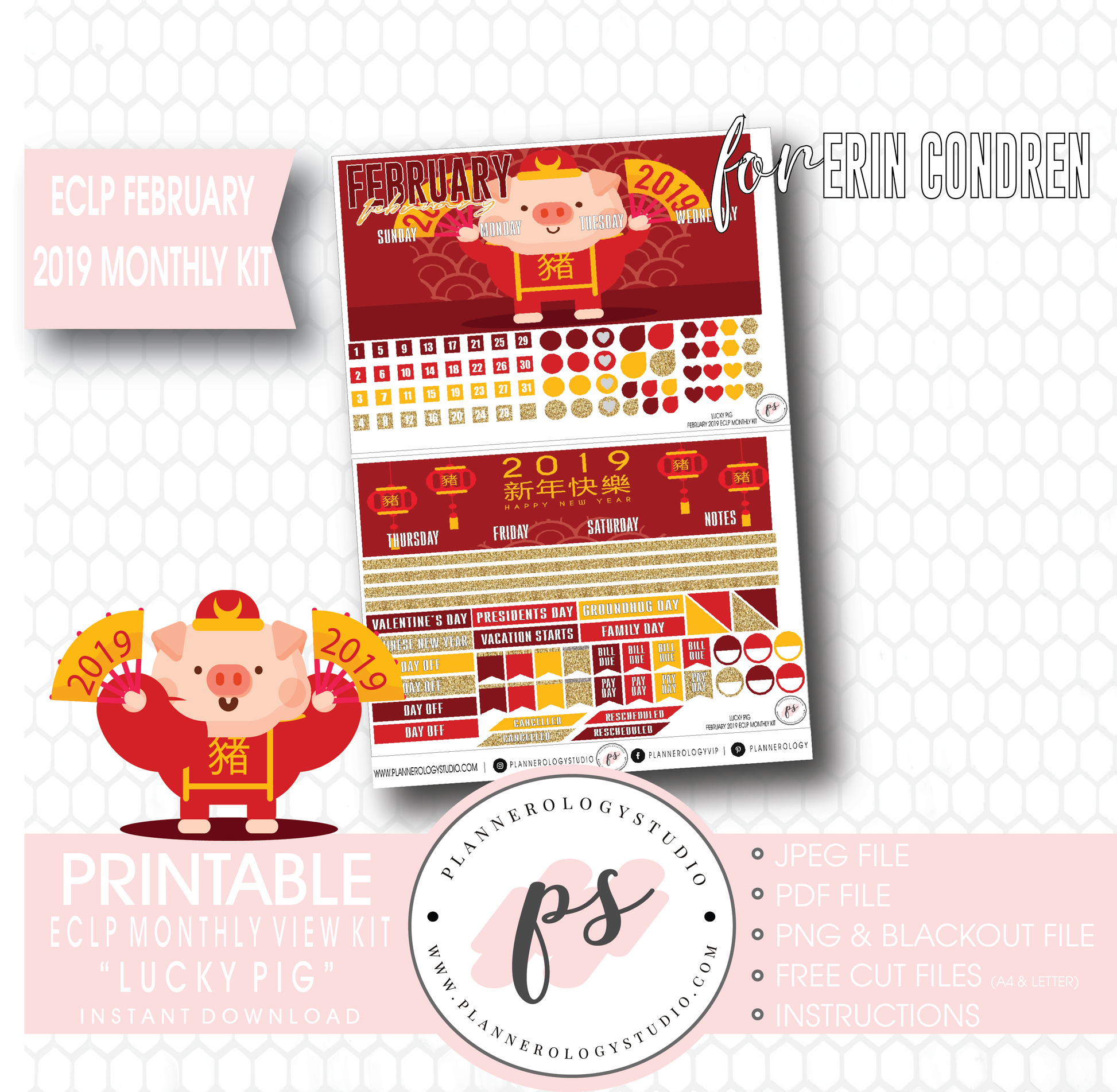 Lucky Pig (Chinese/Lunar New Year) February 2019 Monthly View Kit Digital Printable Planner Stickers (for use with Erin Condren) - Plannerologystudio