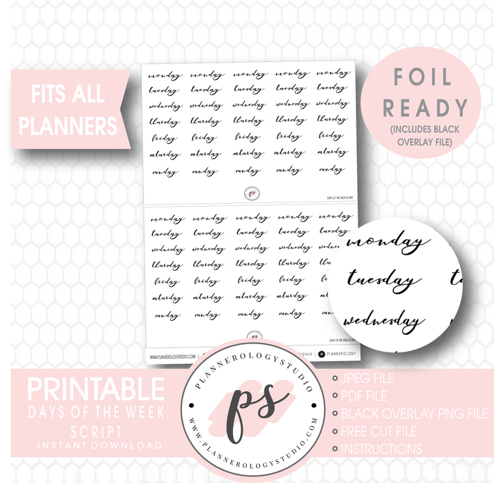 1601~~Days of the Week Script Planner Stickers.