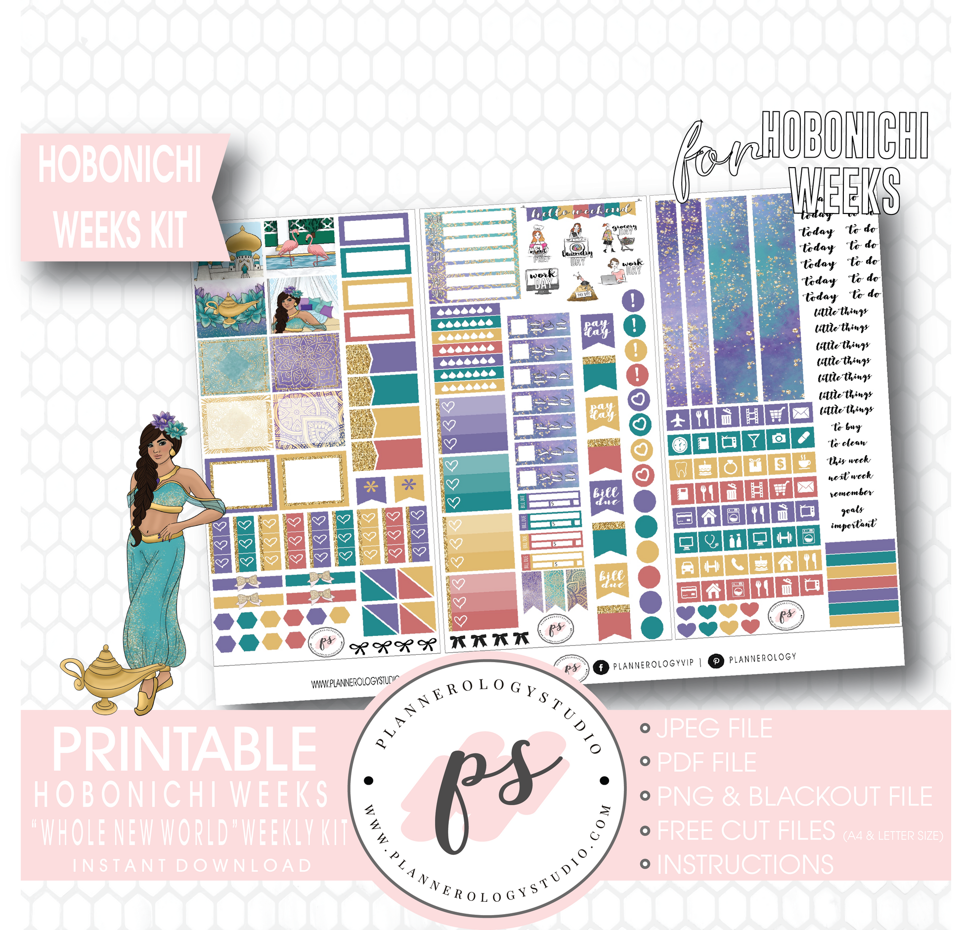 Whole New World (Aladdin) Weekly Kit Printable Digital Planner Stickers (for use with Hobonichi Weeks) - Plannerologystudio