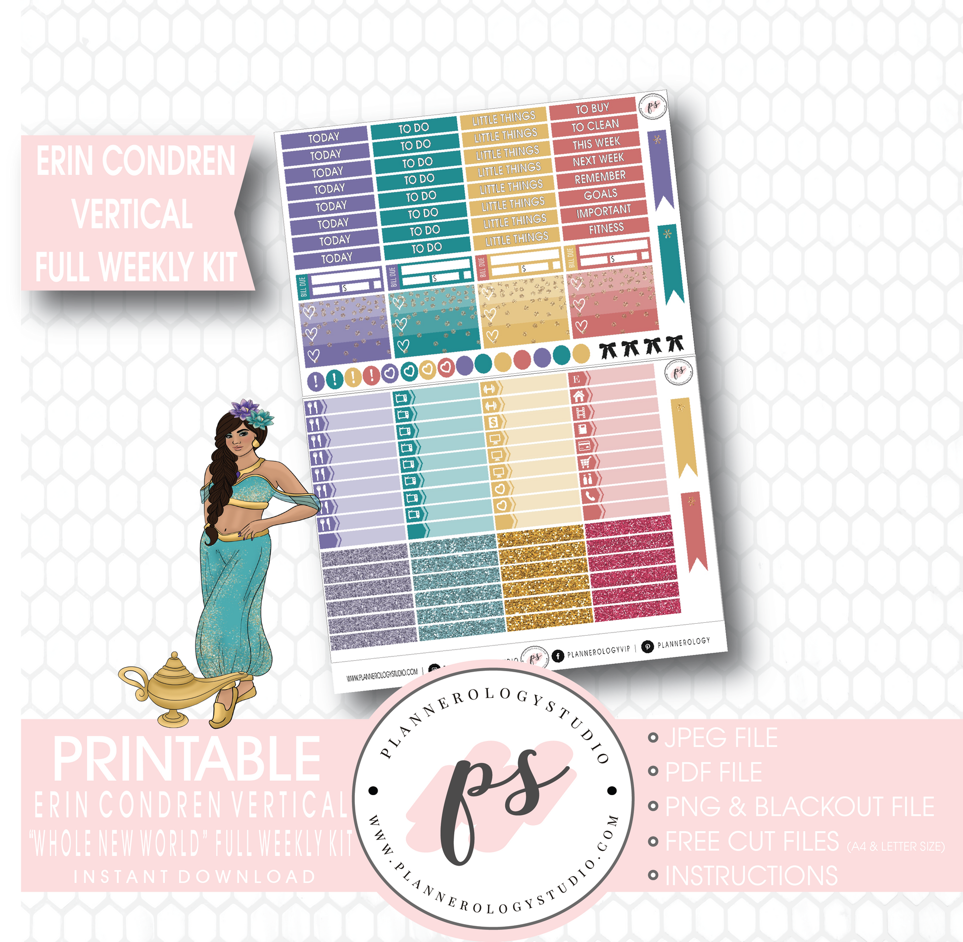 Whole New World (Aladdin Inspired) Full Weekly Kit Printable Planner Stickers (for use with Erin Condren Vertical) - Plannerologystudio