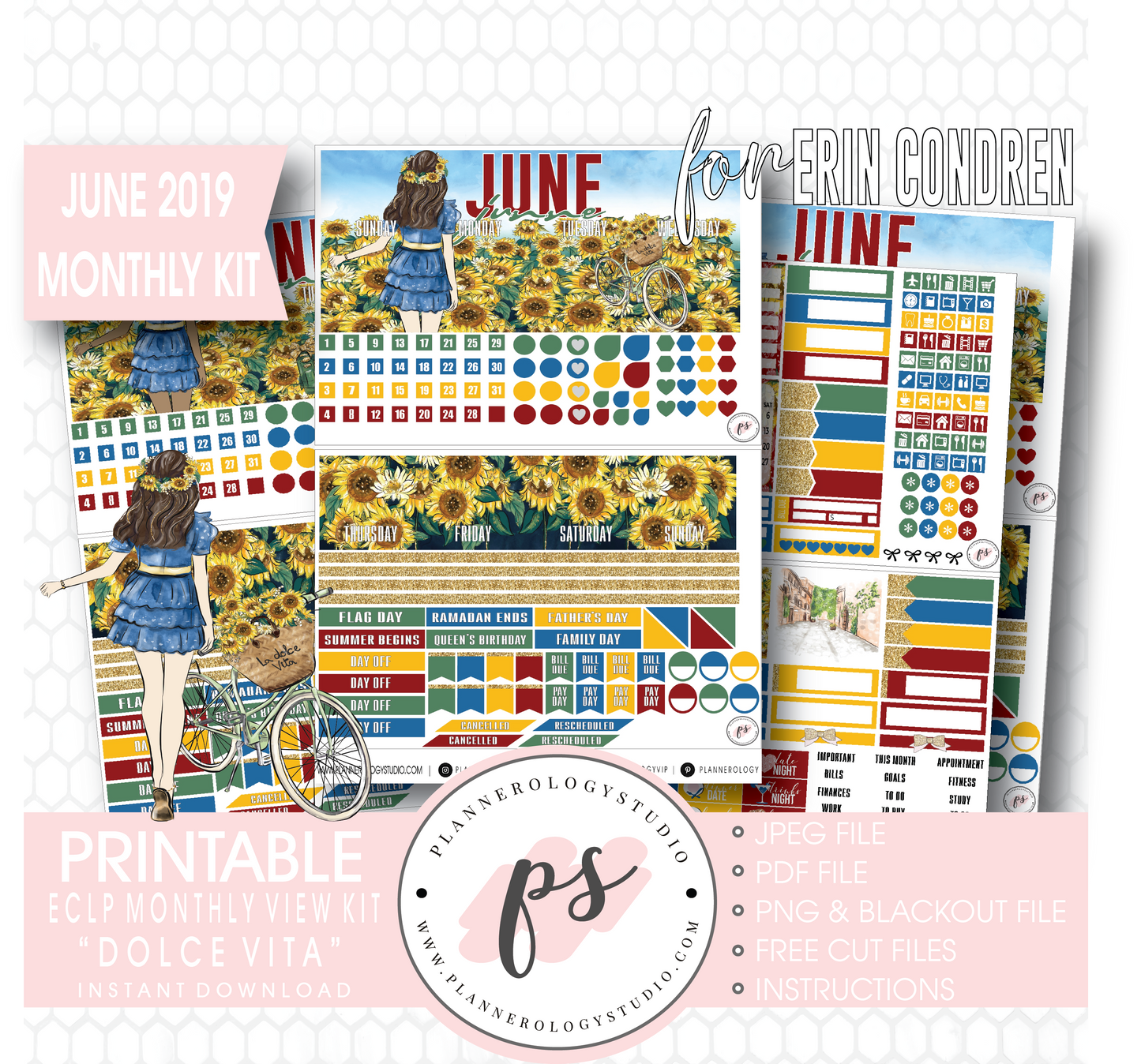 Dolce Vita June 2019 Monthly View Kit Digital Printable Planner Stickers (for use with Erin Condren) - Plannerologystudio