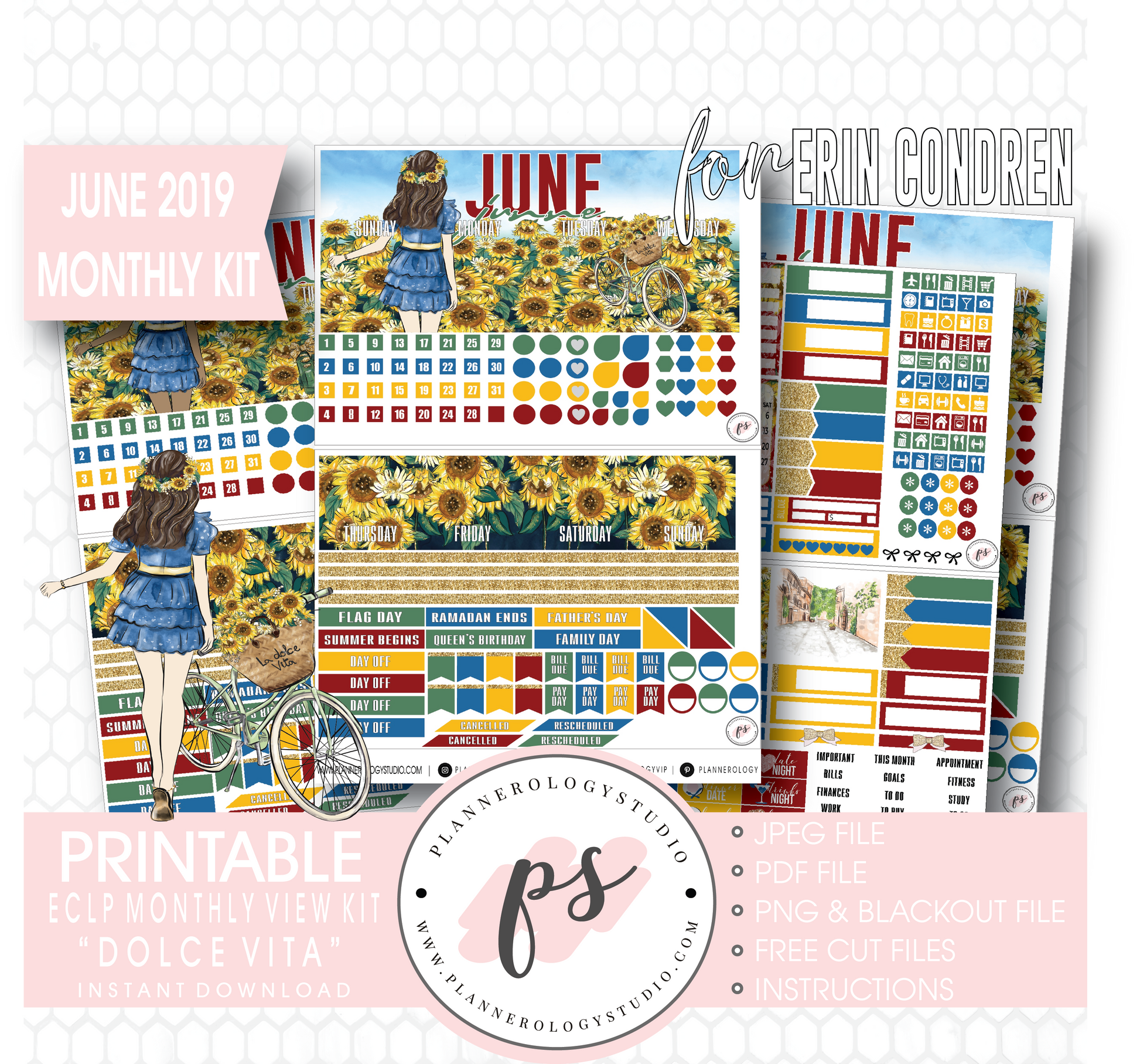 Dolce Vita June 2019 Monthly View Kit Digital Printable Planner Stickers (for use with Erin Condren) - Plannerologystudio