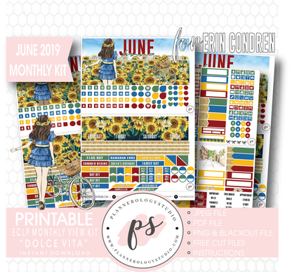 Dolce Vita June 2019 Monthly View Kit Digital Printable Planner Stickers (for use with Erin Condren) - Plannerologystudio