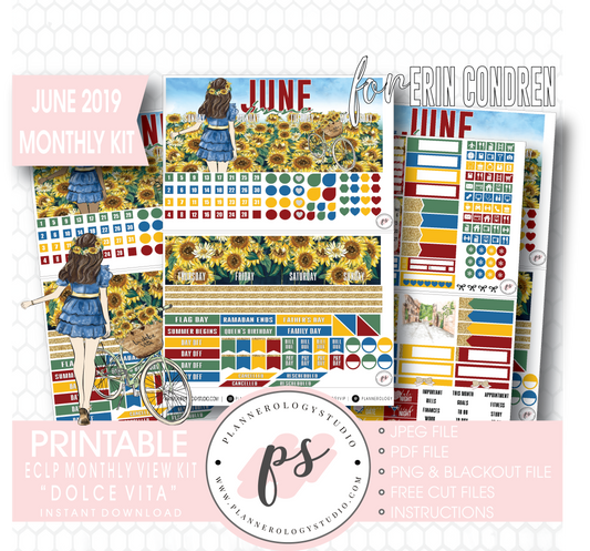 Dolce Vita June 2019 Monthly View Kit Digital Printable Planner Stickers (for use with Erin Condren) - Plannerologystudio