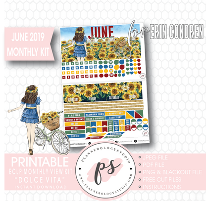 Dolce Vita June 2019 Monthly View Kit Digital Printable Planner Stickers (for use with Erin Condren) - Plannerologystudio