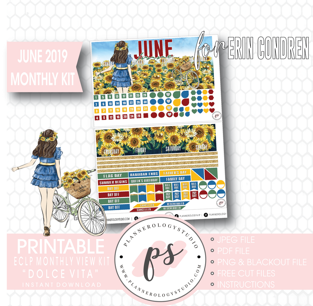 Dolce Vita June 2019 Monthly View Kit Digital Printable Planner Stickers (for use with Erin Condren) - Plannerologystudio