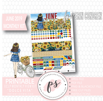 Dolce Vita June 2019 Monthly View Kit Digital Printable Planner Stickers (for use with Erin Condren) - Plannerologystudio