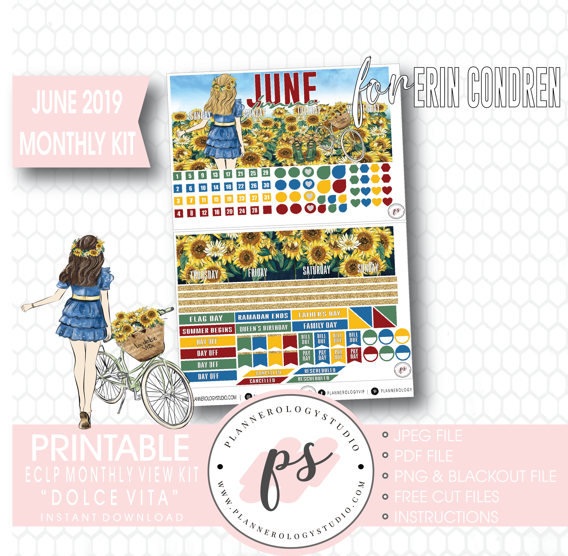 Dolce Vita June 2019 Monthly View Kit Digital Printable Planner Stickers (for use with Erin Condren) - Plannerologystudio