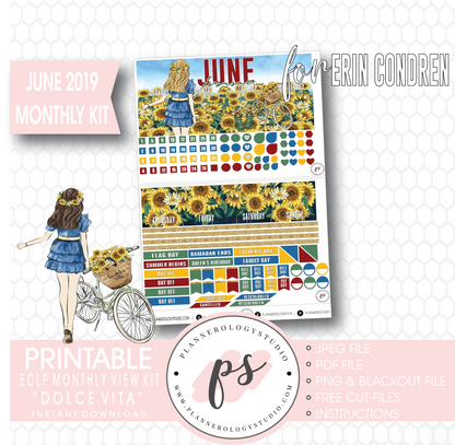 Dolce Vita June 2019 Monthly View Kit Digital Printable Planner Stickers (for use with Erin Condren) - Plannerologystudio