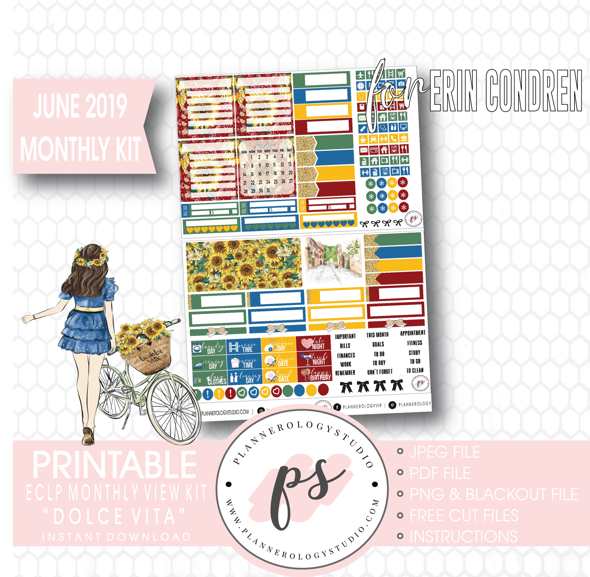 Dolce Vita June 2019 Monthly View Kit Digital Printable Planner Stickers (for use with Erin Condren) - Plannerologystudio