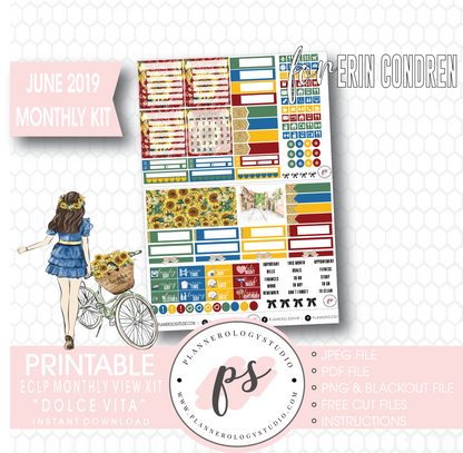 Dolce Vita June 2019 Monthly View Kit Digital Printable Planner Stickers (for use with Erin Condren) - Plannerologystudio
