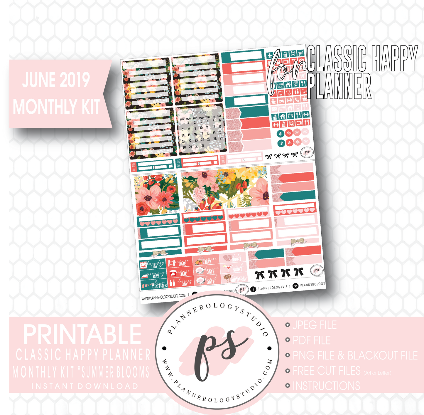 Summer Blooms June 2019 Monthly View Kit Digital Printable Planner Stickers (for use with Classic Happy Planner) - Plannerologystudio